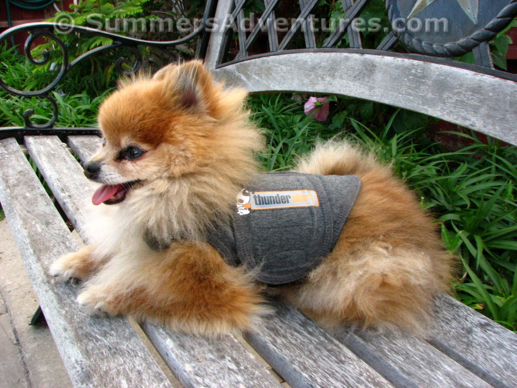 ThunderShirt