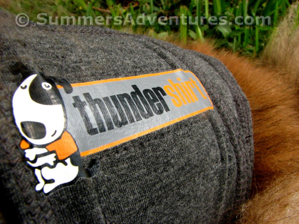 ThunderShirt Logo