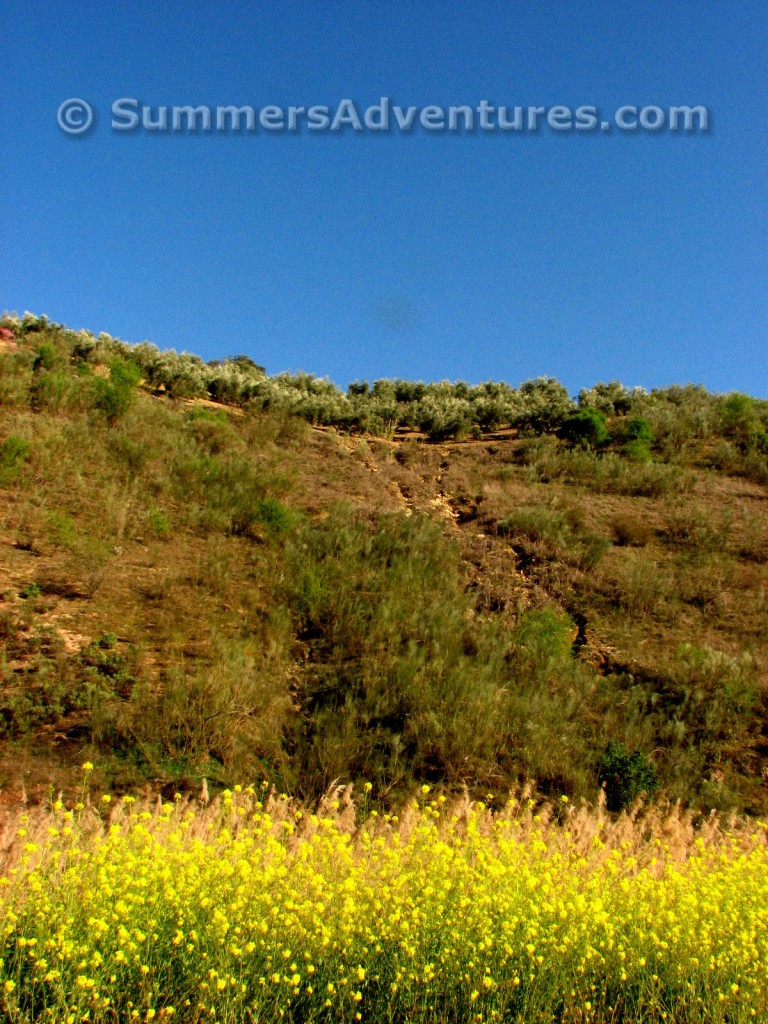 Camino de Iznajar spain