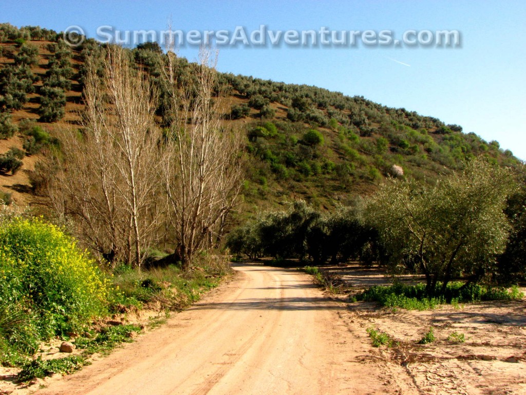 Camino de iznajar