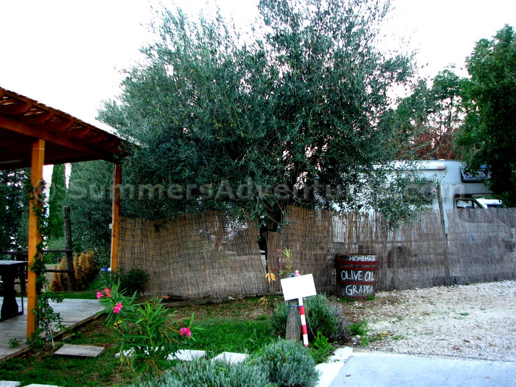 Camper in Motovun