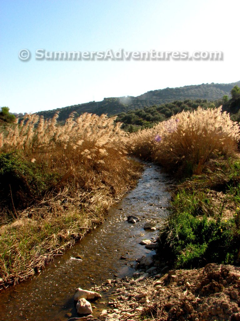 Creek Spain