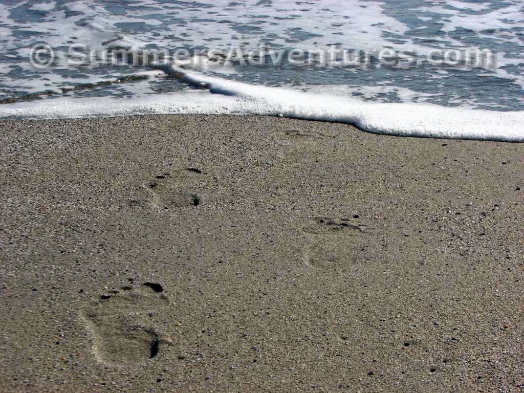 Footprints on the sand