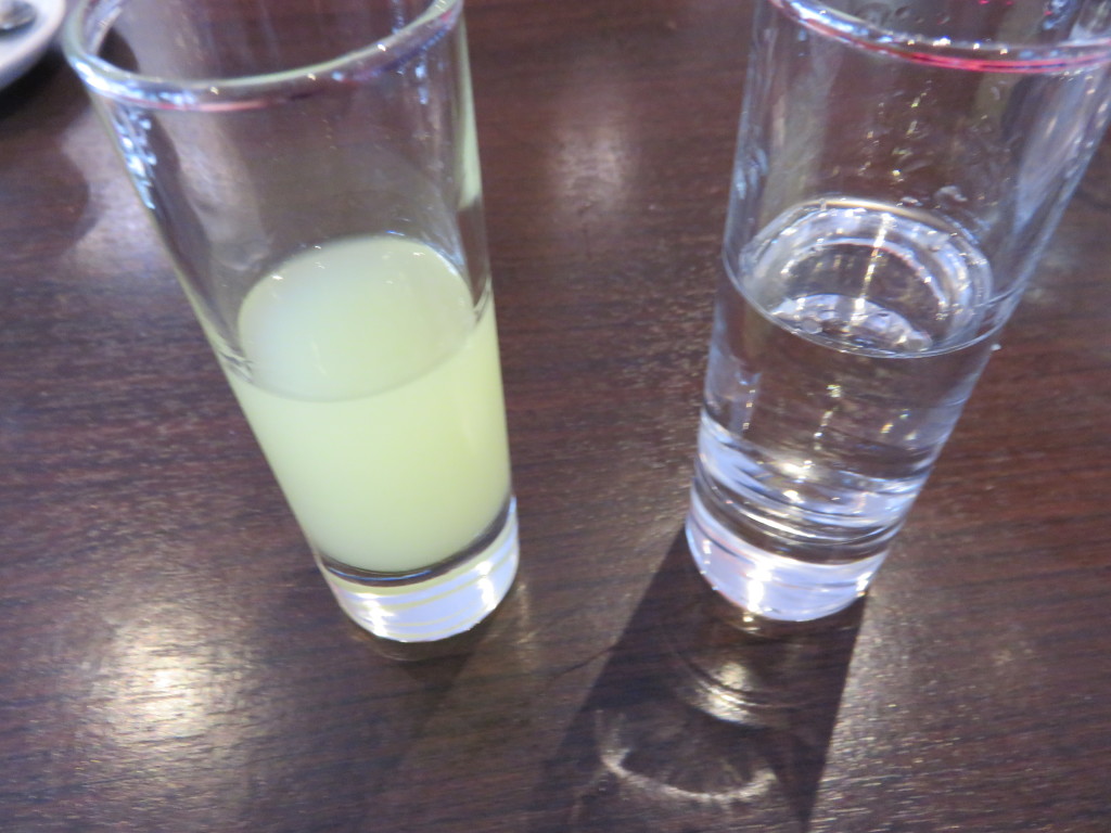 Grappa and Limoncello 